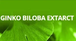 Ginko Biloba Extarct
